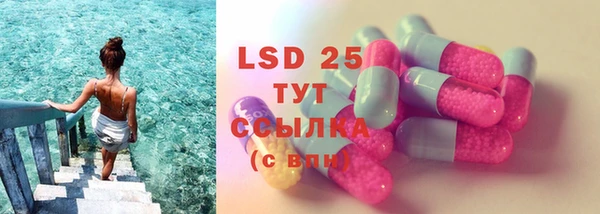 MESCALINE Гусь-Хрустальный