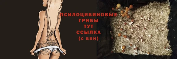 MESCALINE Гусь-Хрустальный