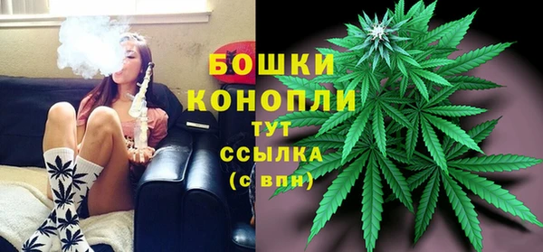 MESCALINE Гусь-Хрустальный