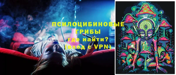 дурь Гусев