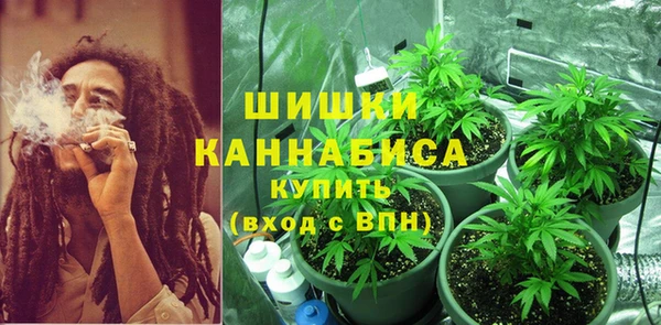 дурь Гусев