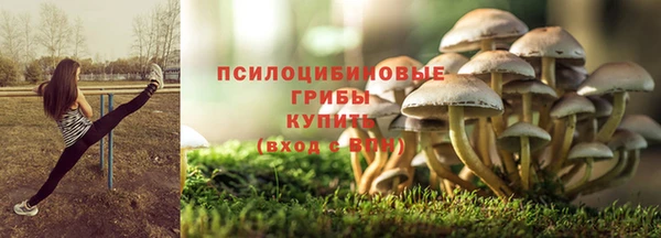 дурь Гусев
