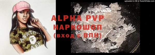 Альфа ПВП Гусиноозёрск