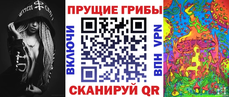 OMG как войти  Невинномысск  Псилоцибиновые грибы прущие грибы 